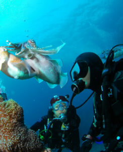 actividades islas del rosario