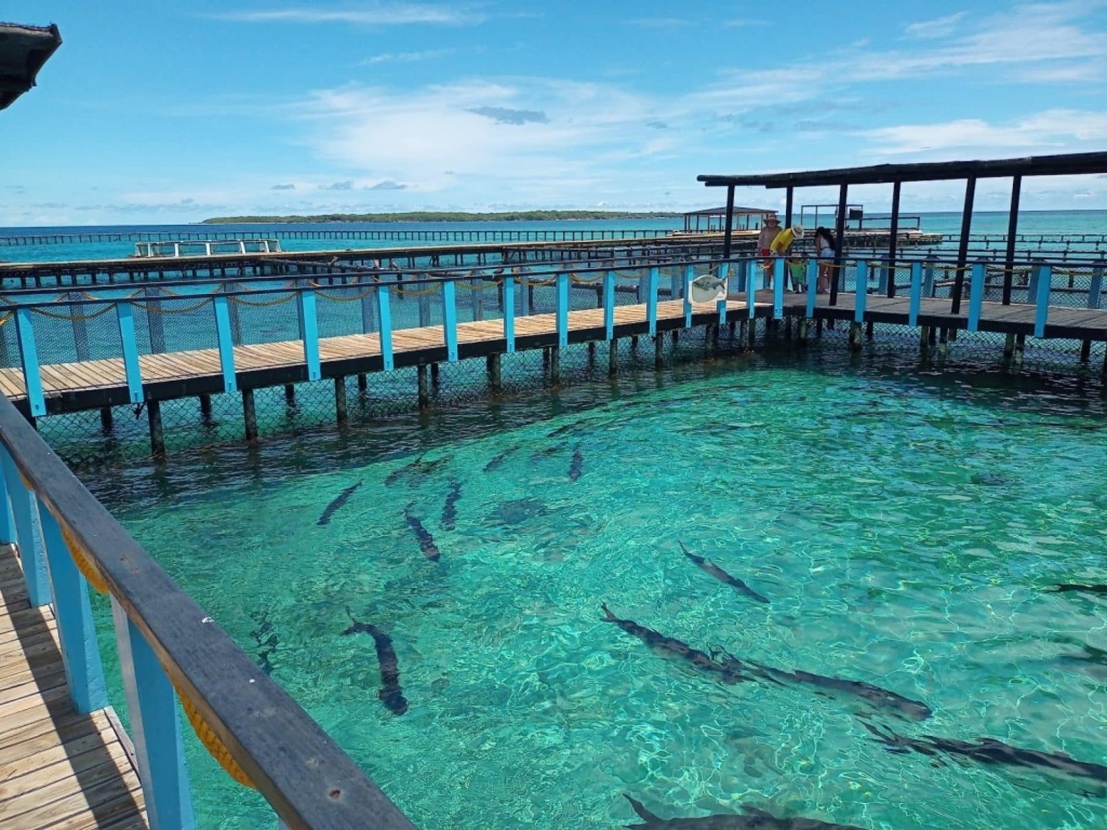 Oceanario Islas del Rosario – Coralina Island