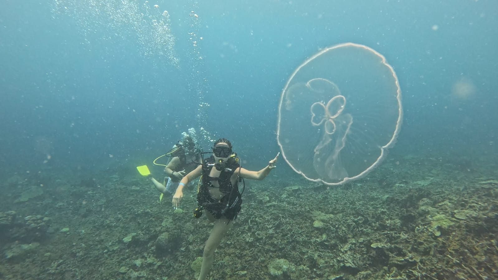 Buceo en Islas del Rosario – Coralina Island