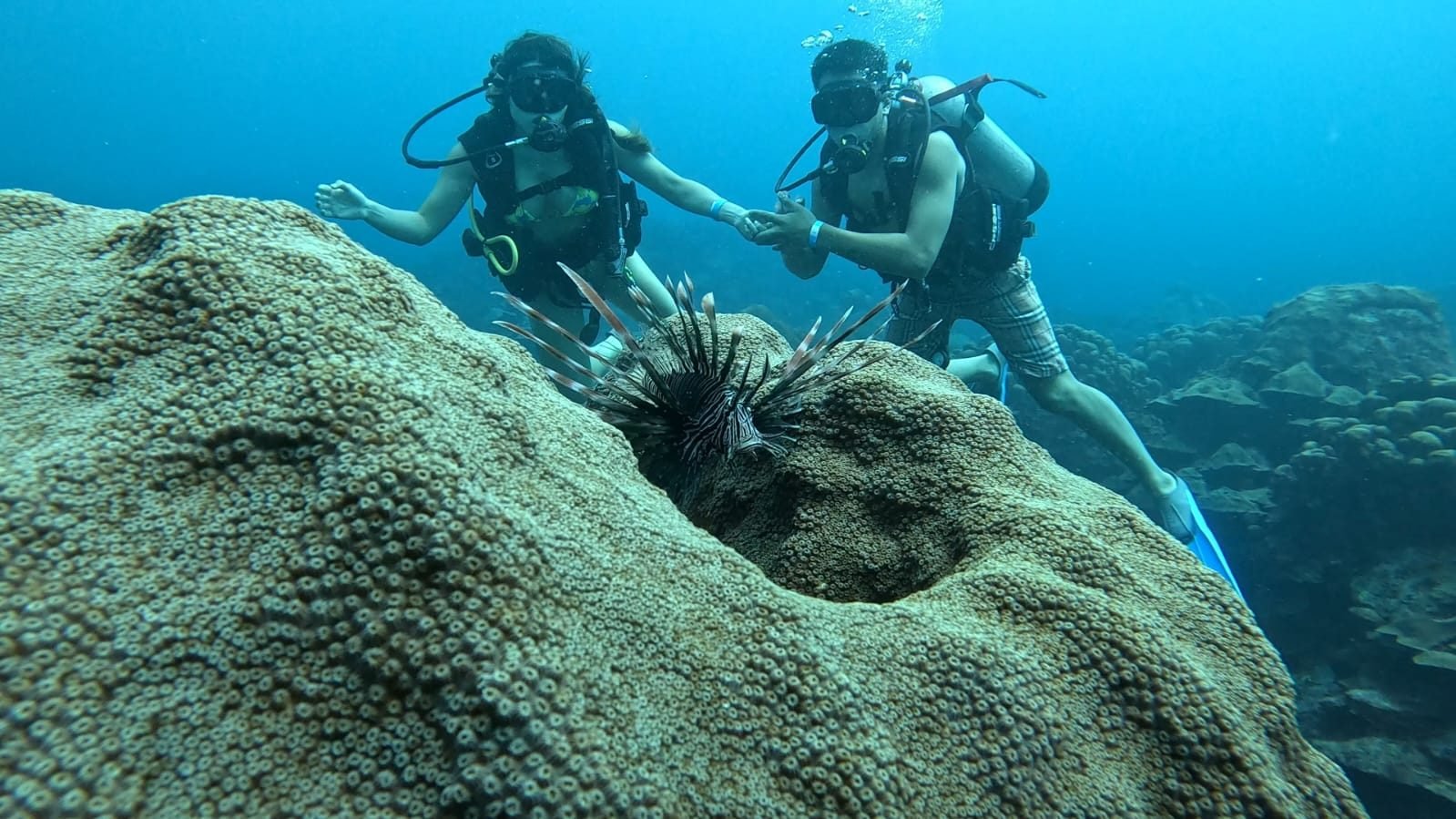 Buceo en Islas del Rosario – Coralina Island