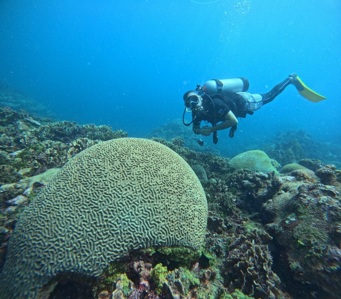 Buceo en Islas del Rosario – Coralina Island