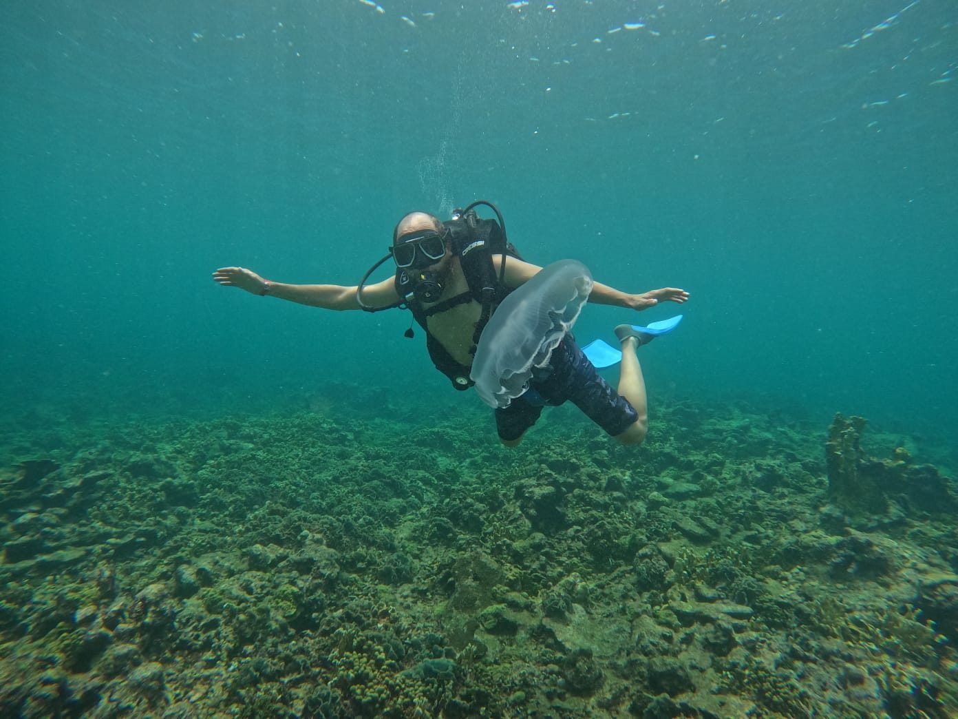 Buceo en Islas del Rosario – Coralina Island