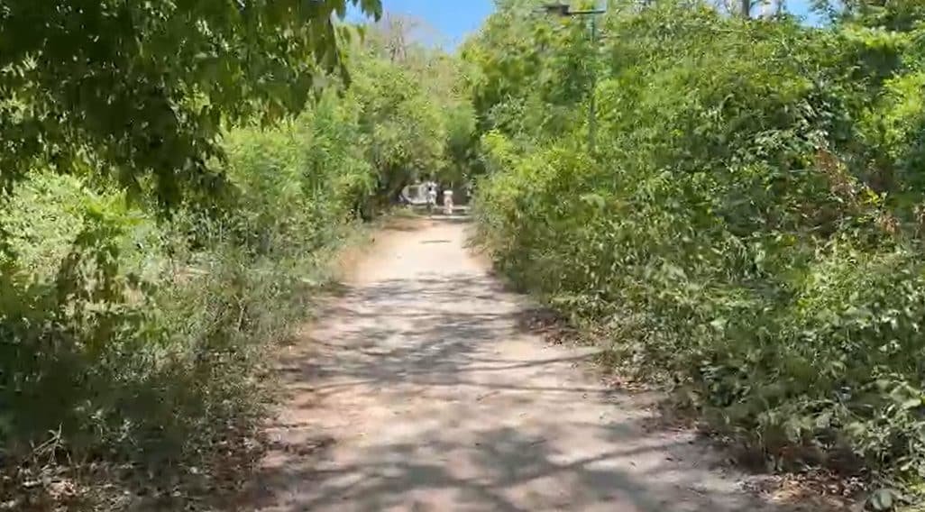Recorrido por Isla Grande – Coralina Island