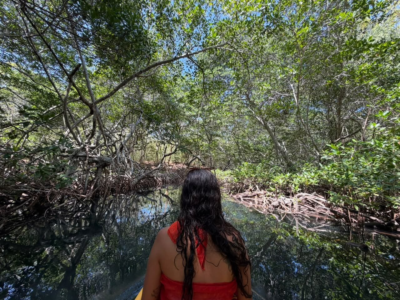 Kayak en los manglares – Coralina Island