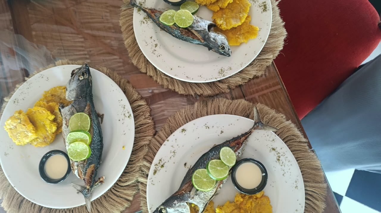 Pesca artesanal en el Caribe – Coralina Island