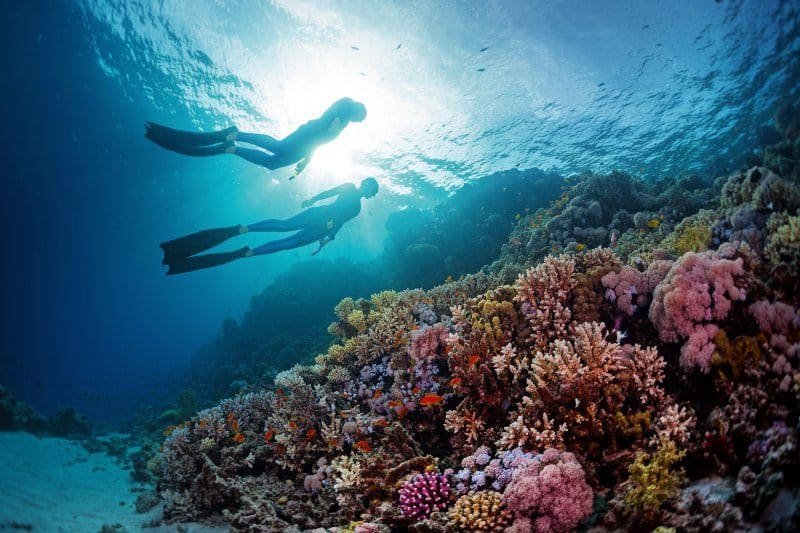 Snorkeling en la barrera de coral – Coralina Island