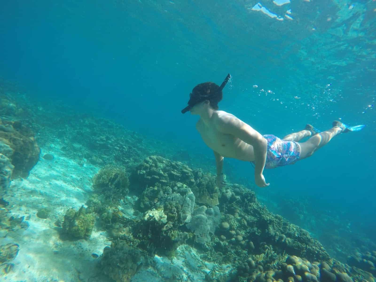 Snorkeling en la barrera de coral – Coralina Island