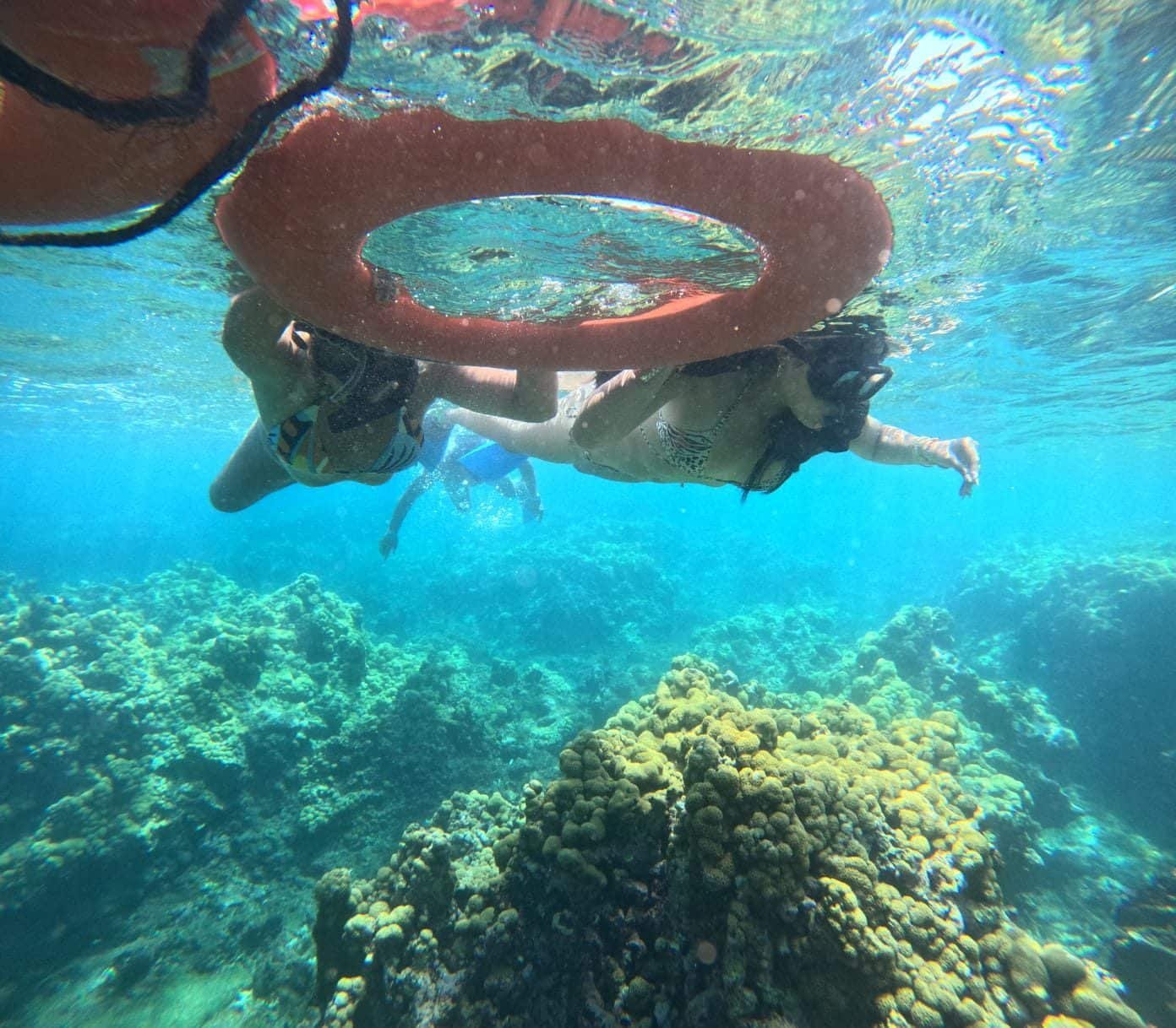 Snorkeling en la barrera de coral – Coralina Island