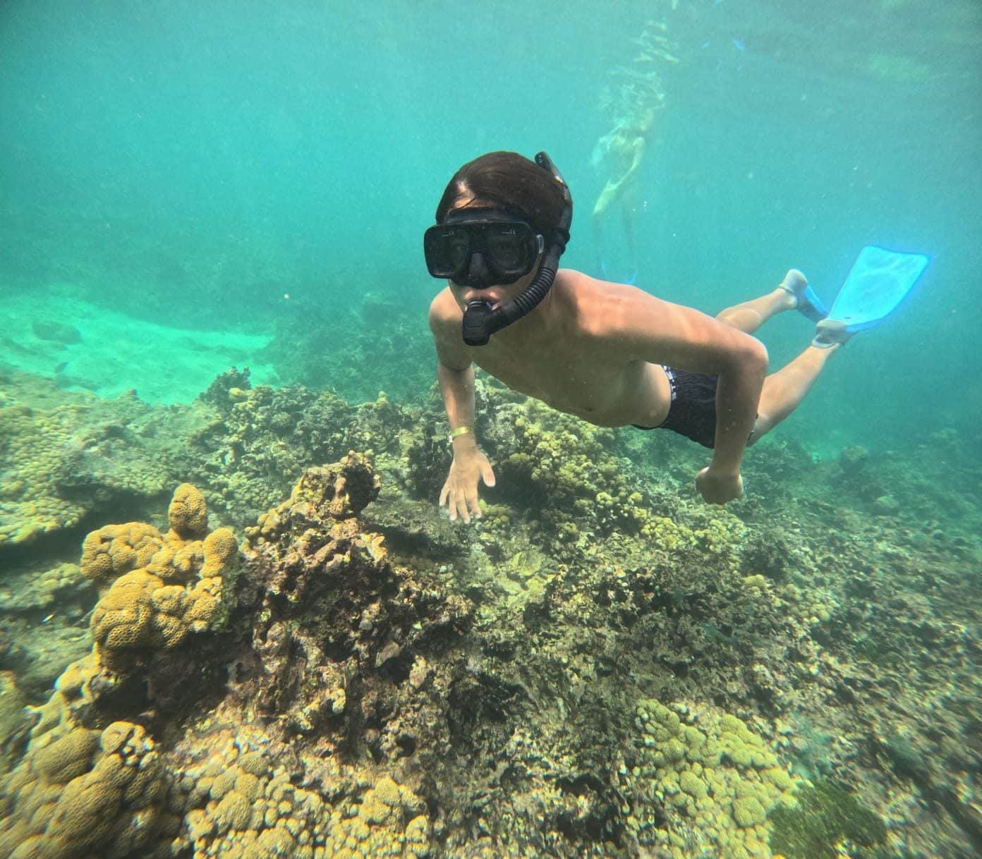 Snorkeling en la barrera de coral – Coralina Island
