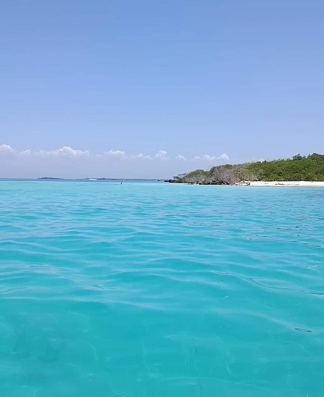 Tour panorámico Islas del Rosario – Coralina Island