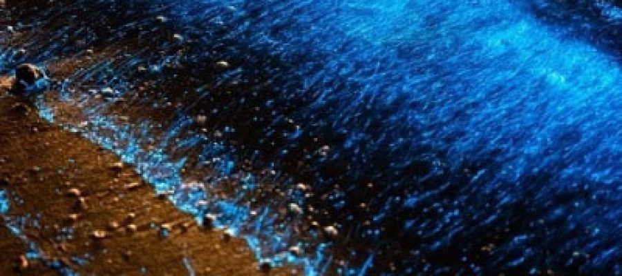 actividades islas del rosario