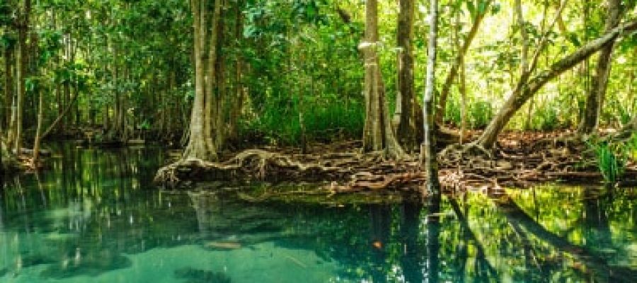 Aventuras islas del rosario