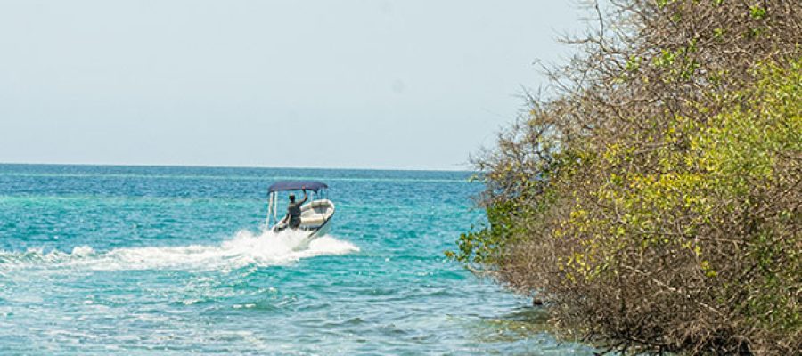 pasadía islas del rosario